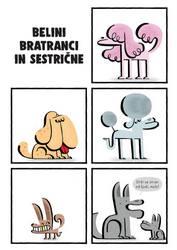 T e D n i (K) Občine 12.08.2019 7